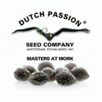 Dutch Passion